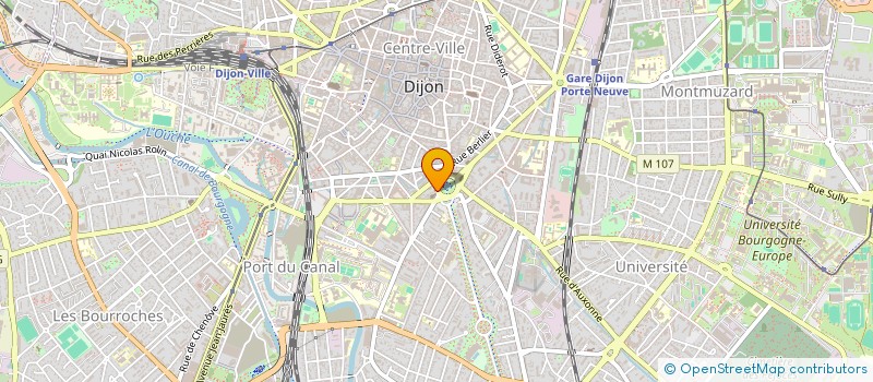 localisation de l'entreprise MONSIEUR DENIS BIJU-DUVAL à DIJON
