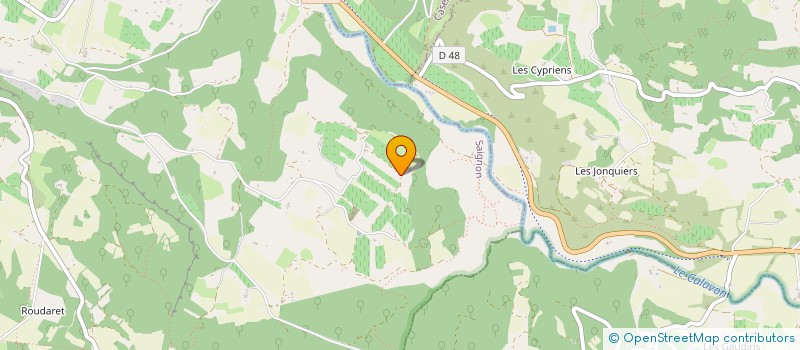 localisation de l'entreprise MONSIEUR DENIS BONNEFOY  SAIGNON