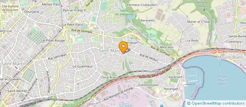 localisation de l'entreprise MONSIEUR DENIS BOUCHON à BREST