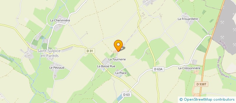 localisation de l'entreprise MONSIEUR DENIS BOURRASSEAU  RIVES-DU-FOUGERAIS