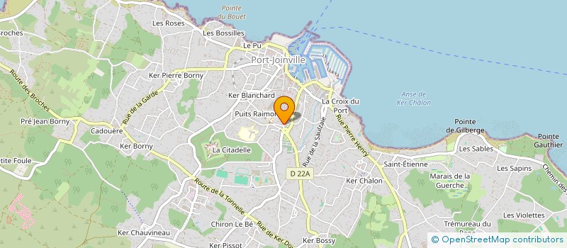 localisation de l'entreprise MONSIEUR DENIS BOUTET  L'ILE-D'YEU