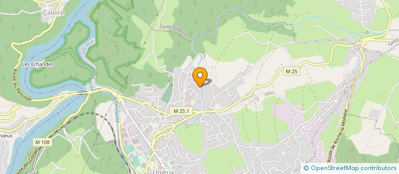 localisation de l'entreprise MONSIEUR DENIS CHAMPETIER  UNIEUX