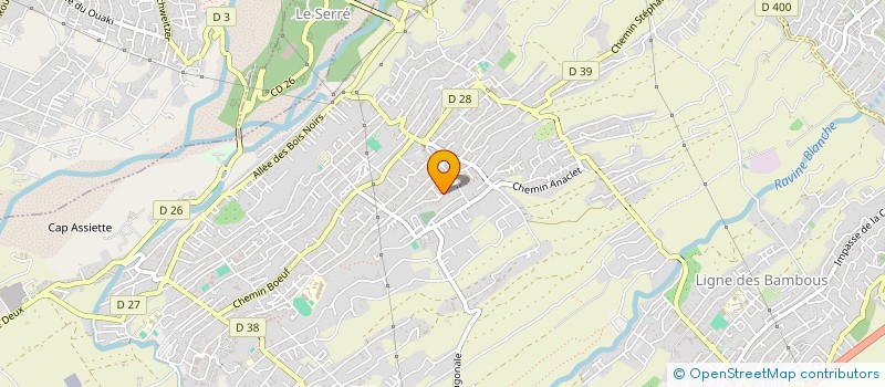 localisation de l'entreprise MONSIEUR DENIS CHARLEVILLE  SAINT-PIERRE