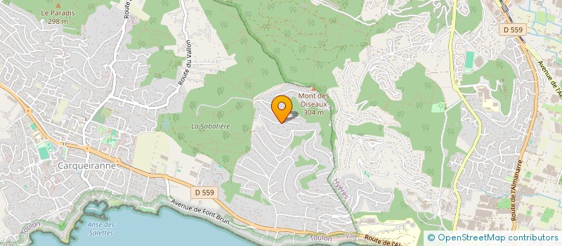 localisation de l'entreprise MONSIEUR DENIS CHAUVET  CARQUEIRANNE