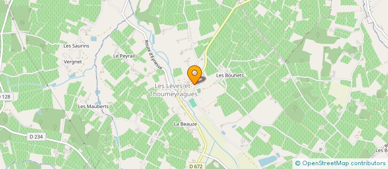 localisation de l'entreprise MONSIEUR DENIS CHAVAGNAC  LES LEVES-ET-THOUMEYRAGUES