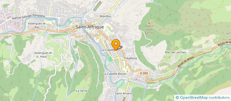 localisation de l'entreprise MONSIEUR DENIS CLUZEL  SAINT-AFFRIQUE