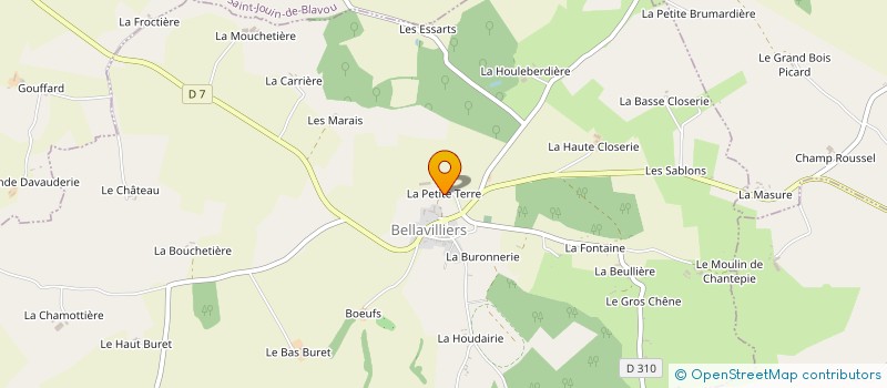 localisation de l'entreprise MONSIEUR DENIS COTREUIL  BELLAVILLIERS