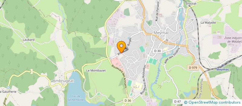 localisation de l'entreprise MONSIEUR DENIS COUTAREL  MEYMAC