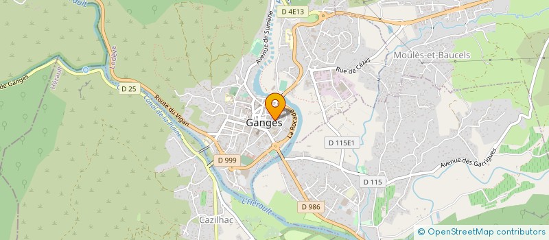 localisation de l'entreprise MONSIEUR DENIS DEBRIS  GANGES