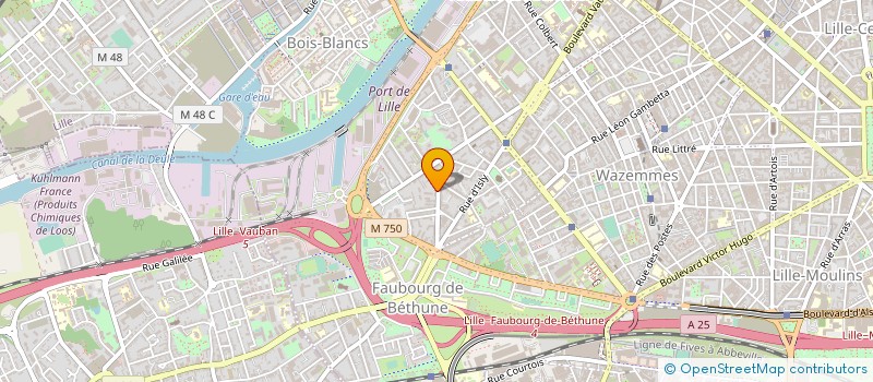 localisation de l'entreprise MONSIEUR DENIS DEMARCQ à LILLE