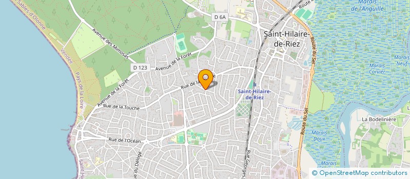 localisation de l'entreprise MONSIEUR DENIS DESROCHES à SAINT-HILAIRE-DE-RIEZ