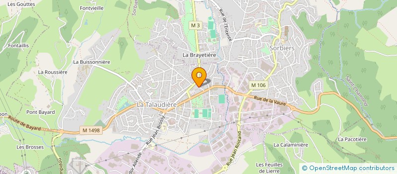 localisation de l'entreprise MONSIEUR DENIS DUFOURNEL  LA TALAUDIERE