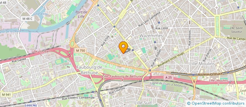 localisation de l'entreprise MONSIEUR DENIS FLEURION à LILLE