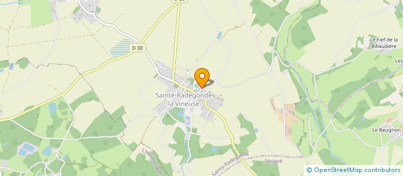 localisation de l'entreprise MONSIEUR DENIS GROSSEMY  MARSAIS-SAINTE-RADEGONDE