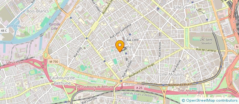 localisation de l'entreprise MONSIEUR DENIS GUERIN à LILLE
