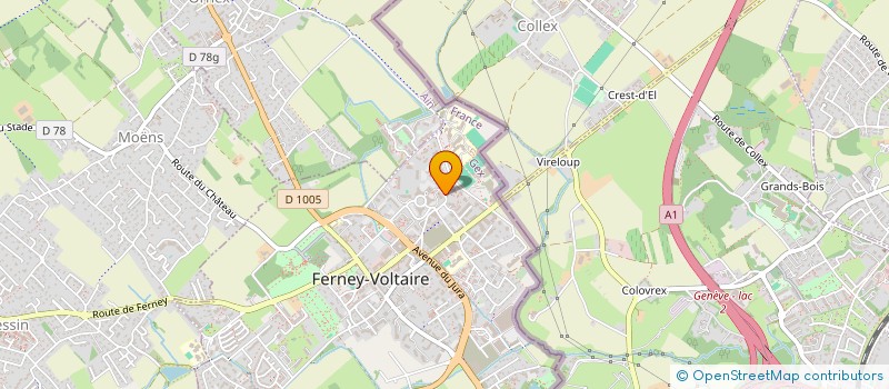 localisation de l'entreprise MONSIEUR DENIS HULO à FERNEY-VOLTAIRE