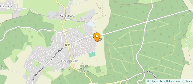 localisation de l'entreprise MONSIEUR DENIS JACQUELINE  HOUPPEVILLE