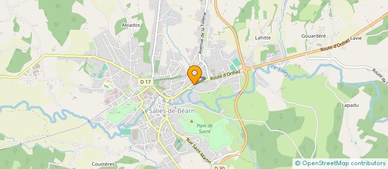 localisation de l'entreprise MONSIEUR DENIS LABAT à SALIES-DE-BEARN