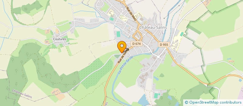 localisation de l'entreprise MONSIEUR DENIS LEJEUNE  CHATEAU-SALINS