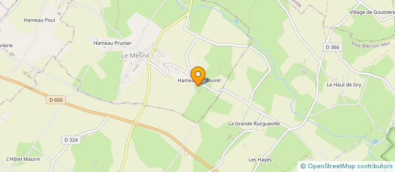 localisation de l'entreprise MONSIEUR DENIS LELYON à LE MESNIL