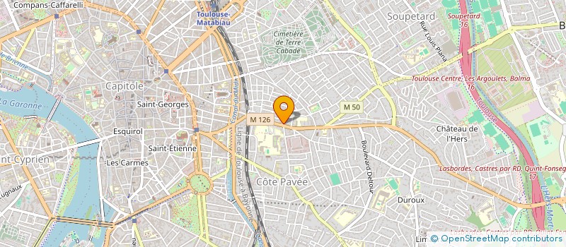 localisation de l'entreprise MONSIEUR DENIS LEROY à TOULOUSE