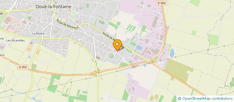 localisation de l'entreprise MONSIEUR DENIS LESGUER  DOUE-EN-ANJOU