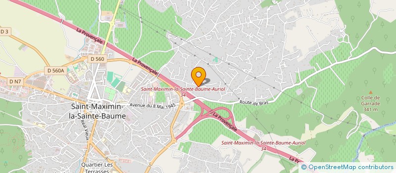 localisation de l'entreprise MONSIEUR DENIS-MARIE MICHAILLE à SAINT-MAXIMIN-LA-SAINTE-BAUME