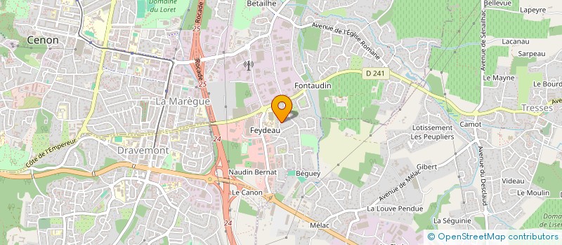 localisation de l'entreprise MONSIEUR DENIS MARTINEAU  ARTIGUES-PRES-BORDEAUX