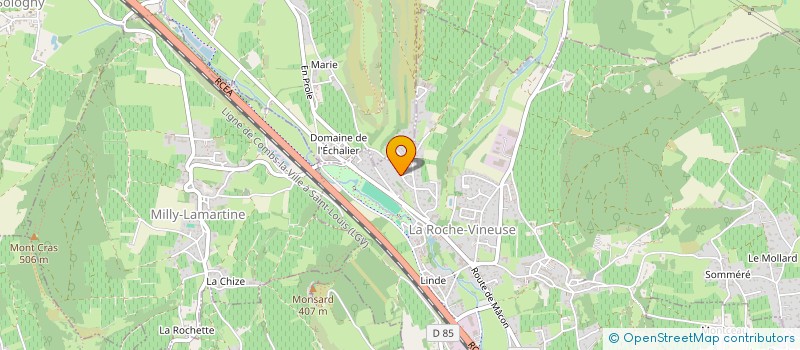 localisation de l'entreprise MONSIEUR DENIS MAURICE BERGER  LA ROCHE-VINEUSE