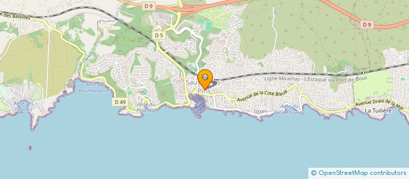 localisation de l'entreprise MONSIEUR DENIS MERTZ  SAUSSET-LES-PINS