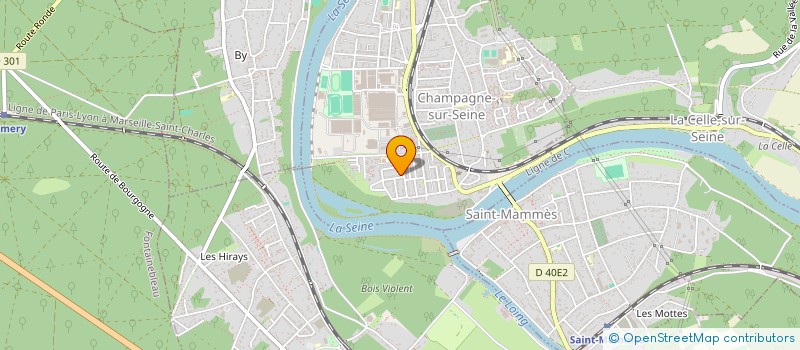 localisation de l'entreprise MONSIEUR DENIS MIEZE  CHAMPAGNE-SUR-SEINE