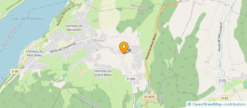 localisation de l'entreprise MONSIEUR DENIS MOSCON  BILIEU