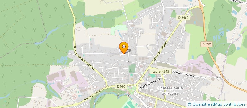 localisation de l'entreprise MONSIEUR DENIS PALLUAU à CHATEAUNEUF-SUR-LOIRE