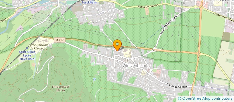 localisation de l'entreprise MONSIEUR DENIS PALLUCCI  WINTZENHEIM