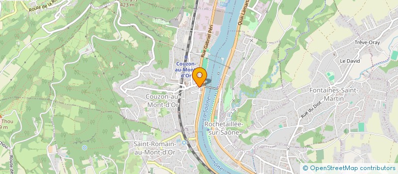 localisation de l'entreprise MONSIEUR DENIS PEDRENO  COUZON-AU-MONT-D'OR