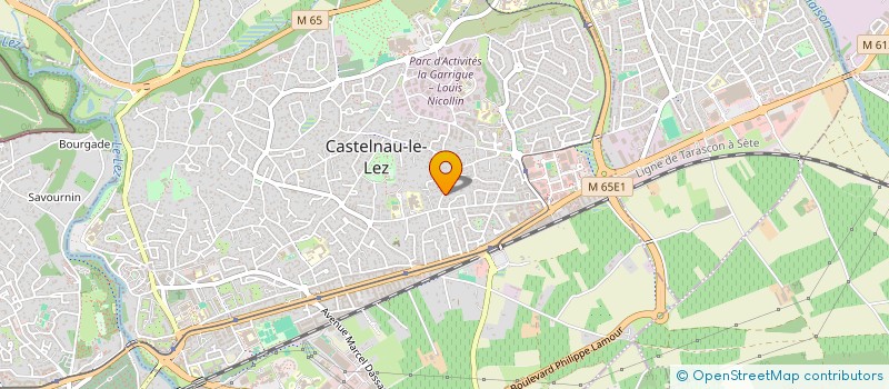 localisation de l'entreprise MONSIEUR DENIS PERRIN  CASTELNAU-LE-LEZ