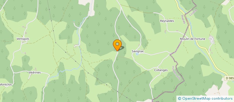 localisation de l'entreprise MONSIEUR DENIS PIGNOL  THORAS