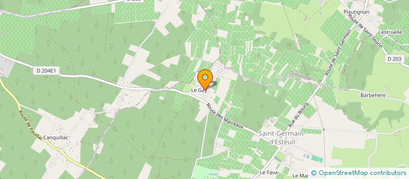 localisation de l'entreprise MONSIEUR DENIS PUYSSEGUR  SAINT-GERMAIN-D'ESTEUIL