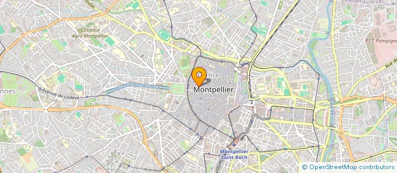 localisation de l'entreprise MONSIEUR DENIS RAMBAUD  MONTPELLIER