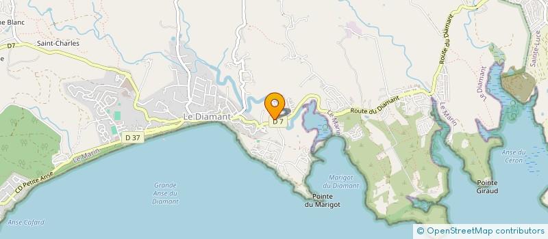 localisation de l'entreprise MONSIEUR DENIS RECORD à LE DIAMANT