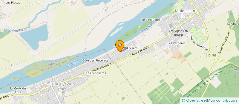 localisation de l'entreprise MONSIEUR DENIS RICHARD  SAINT-DYE-SUR-LOIRE