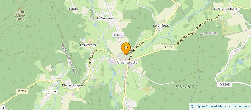 localisation de l'entreprise MONSIEUR DENIS ROCHARD  CHENELETTE