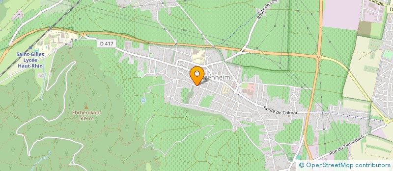 localisation de l'entreprise MONSIEUR DENIS ROHMER  WINTZENHEIM