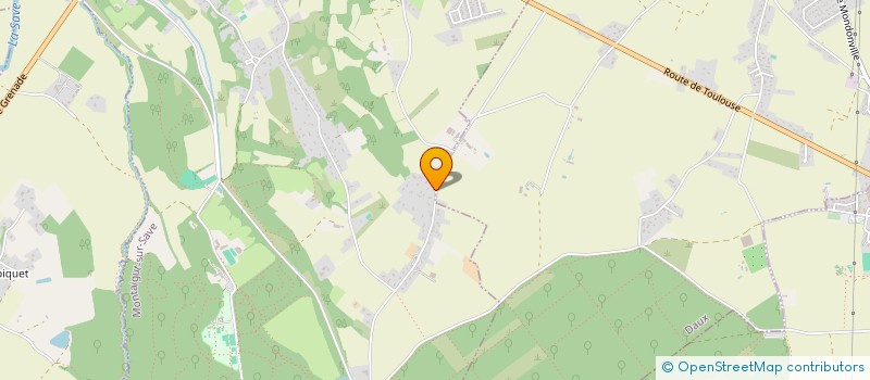 localisation de l'entreprise MONSIEUR DENIS ROQUES  MONTAIGUT-SUR-SAVE