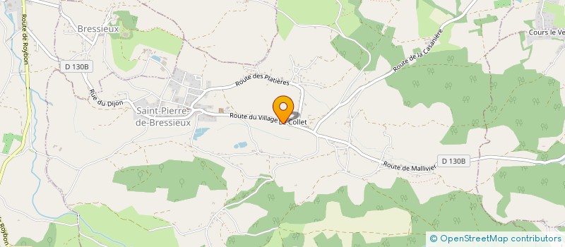 localisation de l'entreprise MONSIEUR DENIS ROUDET à SAINT-PIERRE-DE-BRESSIEUX