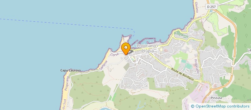 localisation de l'entreprise MONSIEUR DENIS SIMA  PROPRIANO