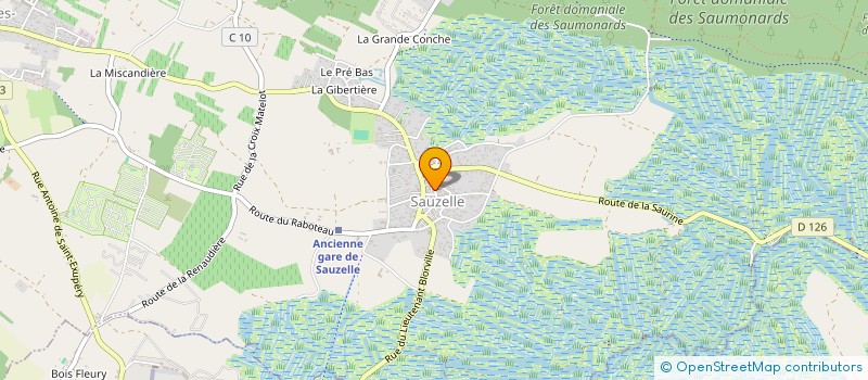 localisation de l'entreprise MONSIEUR DENIS TESSIER à SAINT GEORGES D'OLERON