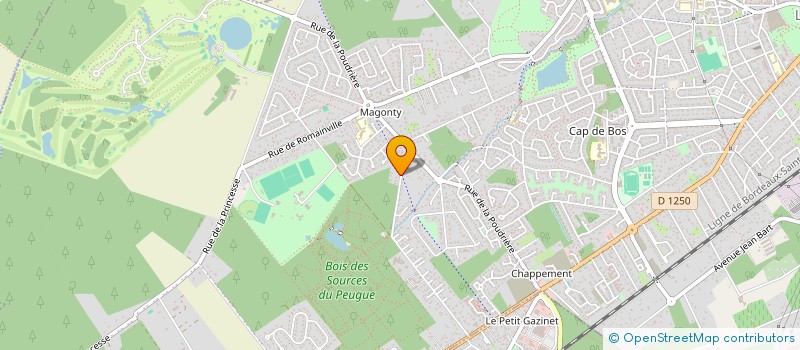 localisation de l'entreprise MONSIEUR DENIS TOMAT  PESSAC