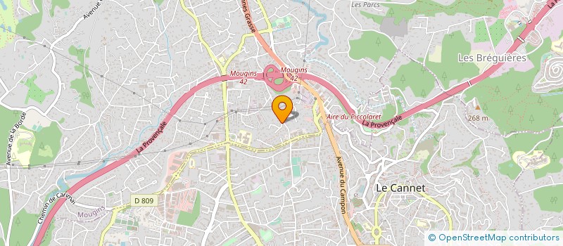 localisation de l'entreprise MONSIEUR DENIS TORRE  MOUGINS
