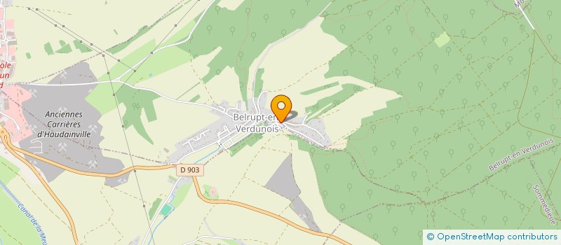 localisation de l'entreprise MONSIEUR DENIS TRUPCEVIC à BELRUPT-EN-VERDUNOIS